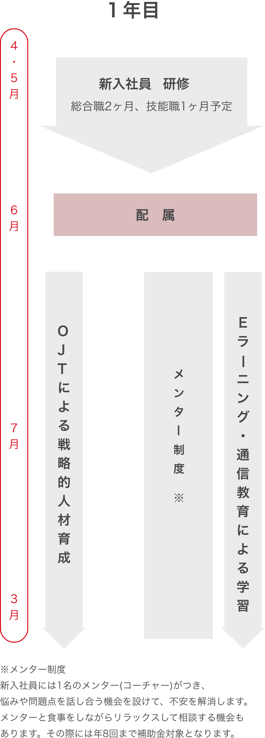 FUJICO 1年目 新入社員 研修 総合職2ヶ月、技能職1ヶ月予定 OJTによる戦略的人材育成 メンター制度 新入社員には１名のメンター(コーチャー)がつき、悩みや問題点を話し合う機会を設けて、不安を解消します。メンターと食事しながらリラックスして相談する機会もあります。その際は年８回まで補助金の対象となります。Eラーニング・通信教育による学習